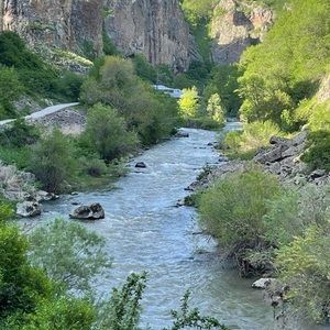 Meet your Posher, Shakeh